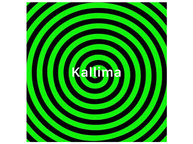 Kallima