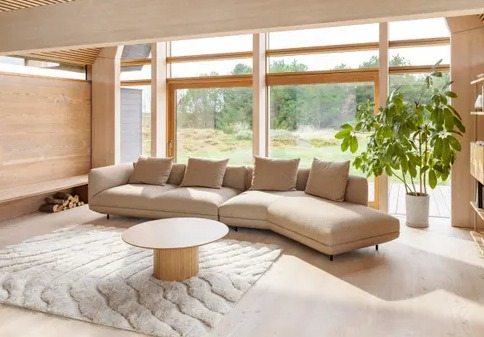 アラキ様　ボーコンセプト　フレームアート　【訳あり】 アラキ様 ボーコンセプト フレームアート 【訳あり】 美術品