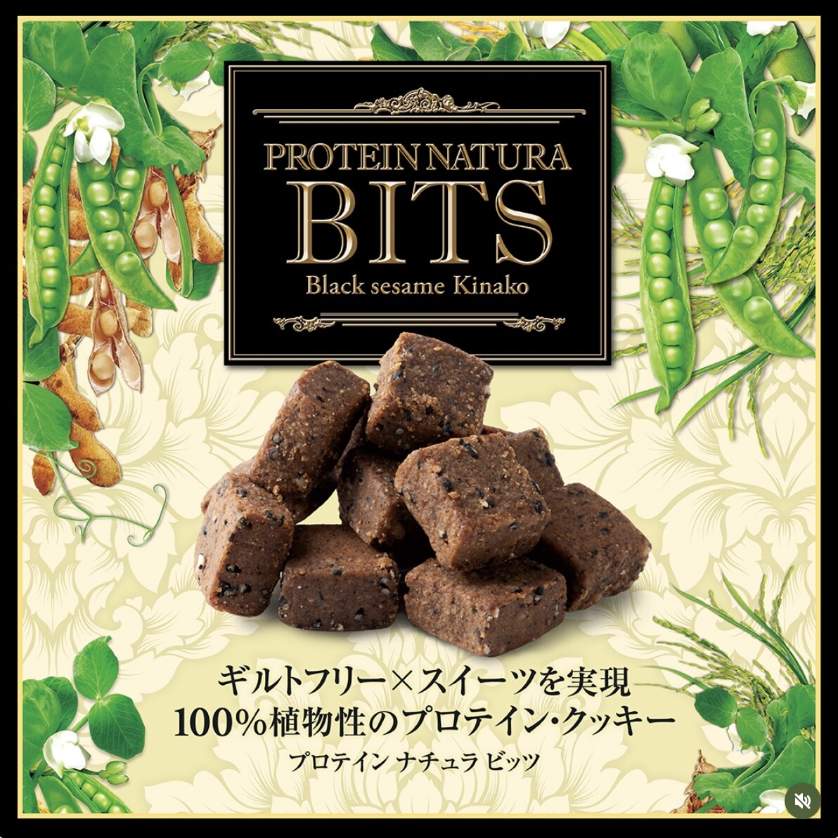 ✨新発売✨プロテインスイーツ │エステプロ・ラボ │ ショップブログ
