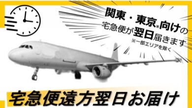 宅急便遠方翌日お届け🛬⏲