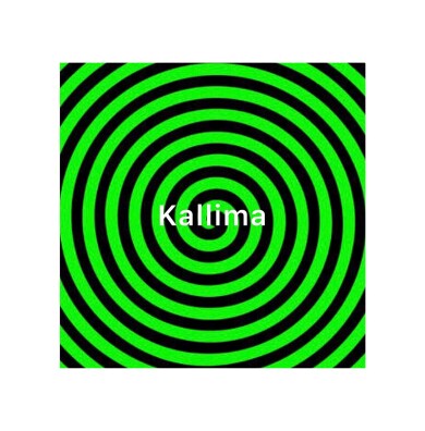 『Kallima（カリマ）』10月18日(土)・19日(日) 期間限定開催！＠アミュプラザくまもと 4F