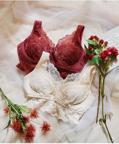 もちもちナイト