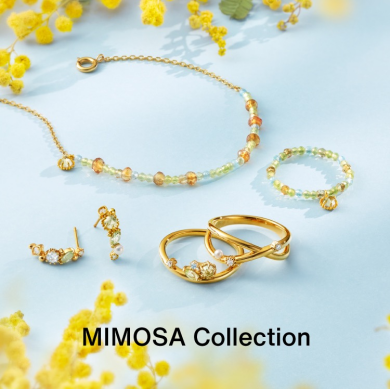 【新作】MIMOSA Collection🌼