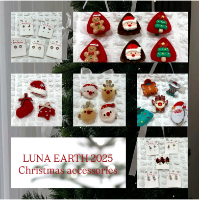 クリスマスアイテム入荷のご案内🎄