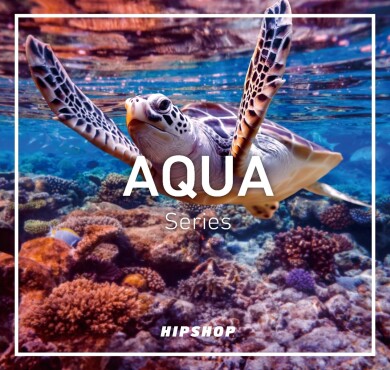 夏本番！涼しげなAQUA Series新作入荷！