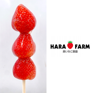 『原いちご農園』4月1日(水)～4月13日(月)  肥後よかモン市場に期間限定オープン！