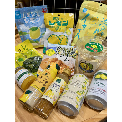 1F　キタノ エース