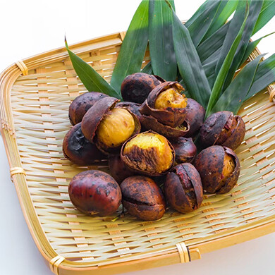 『Morifuku』12月26日(金)〜2026年1月7日(水) 期間限定オープン!@アミュプラザくまもと 1F