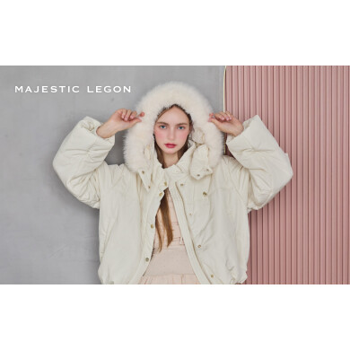 マジェスティックレゴン