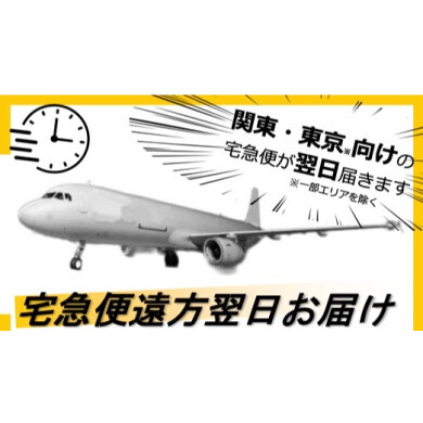 宅急便遠方翌日お届け🛬⏲