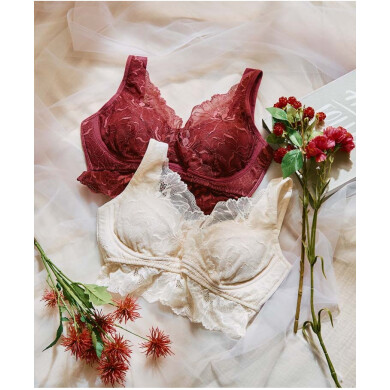 もちもちナイト