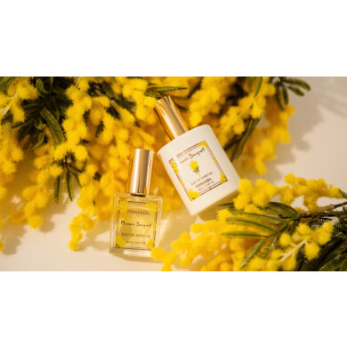 国際女性デーに贈る、鮮やかな“ミモザの花束”の香り「ミモザブーケ コレクション」