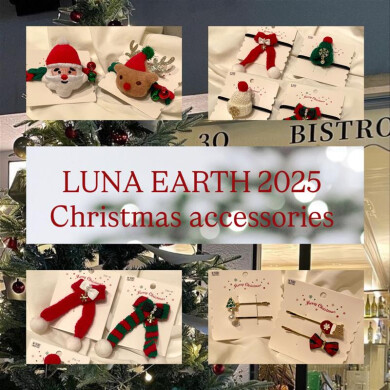 🎄クリスマスアイテム🎄