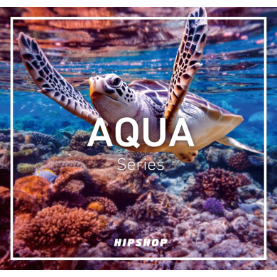 夏本番！涼しげなAQUA Series新作入荷！